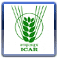 ICAR Logo
